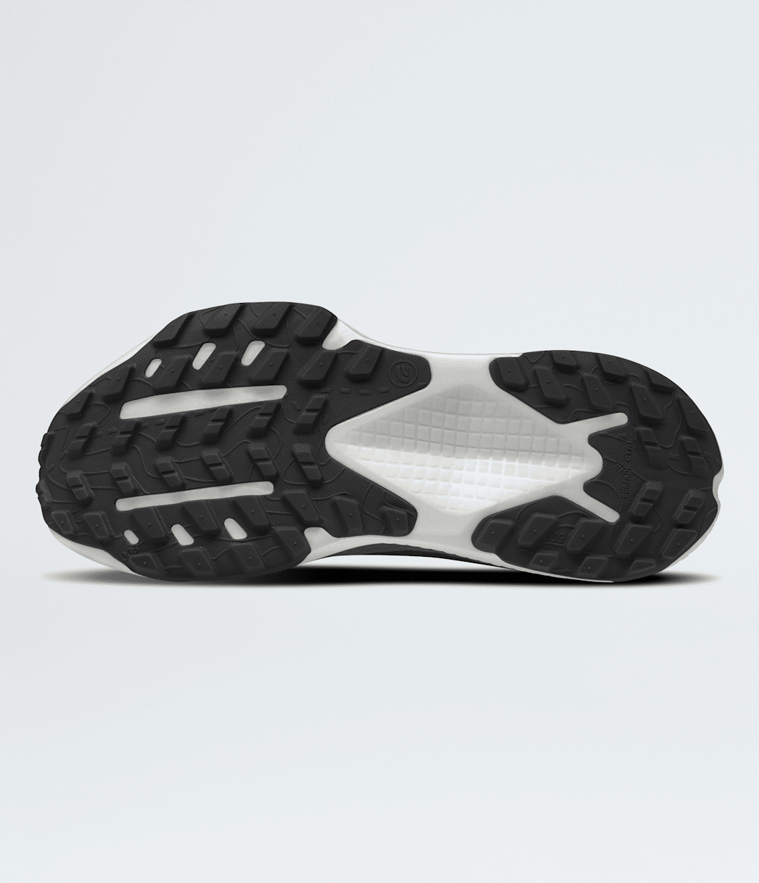 The North Face Men’s Altamesa 500 Shoes