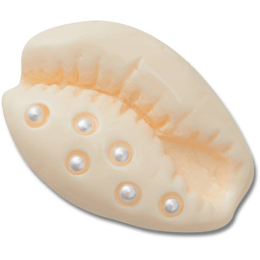 Crocs - Pearl Puka Shell Jibbitz™ charms For Sale