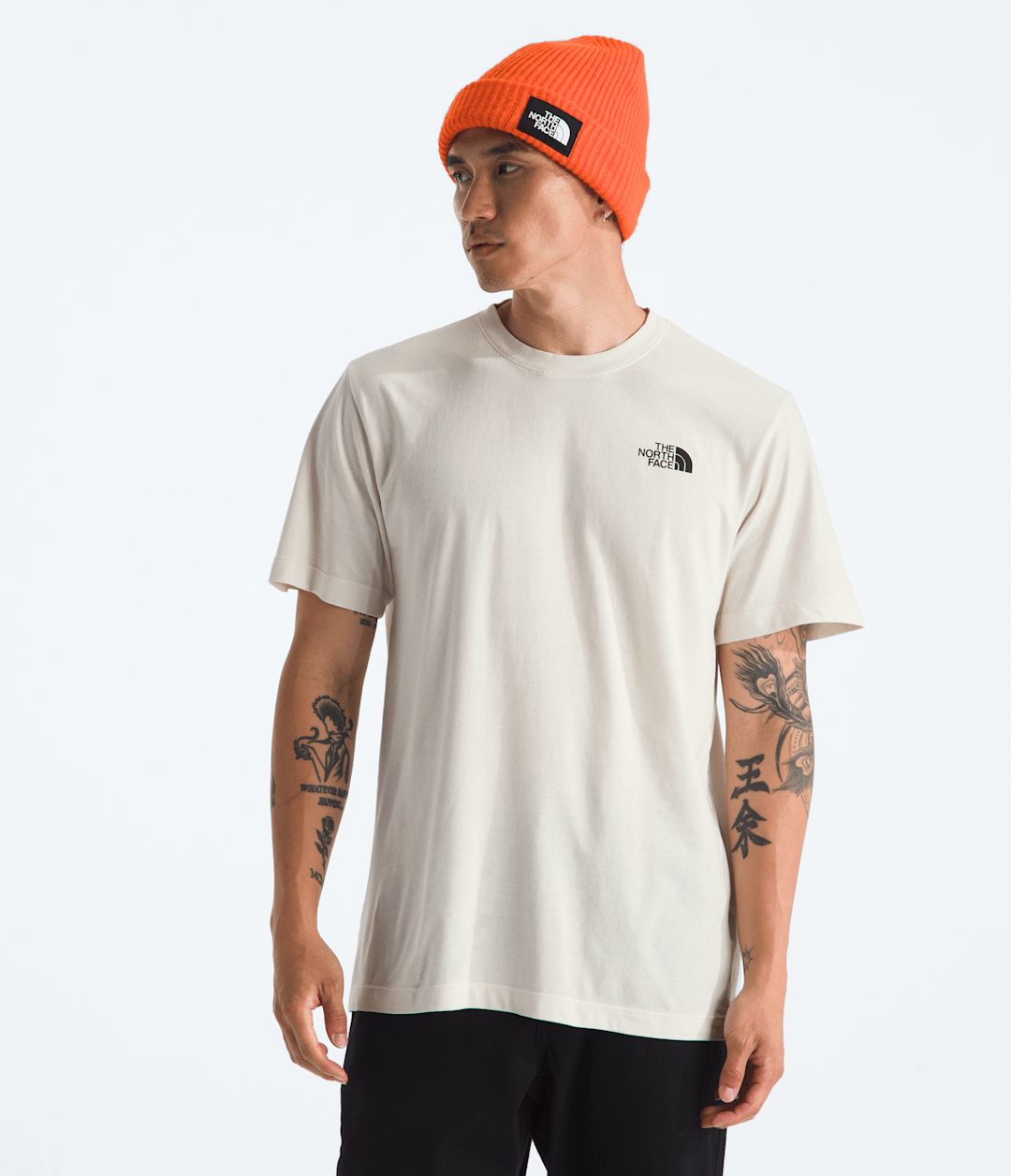 The North Face Men’s Evolution Vault Tri Pack Short-Sleeve Tee—Graphic