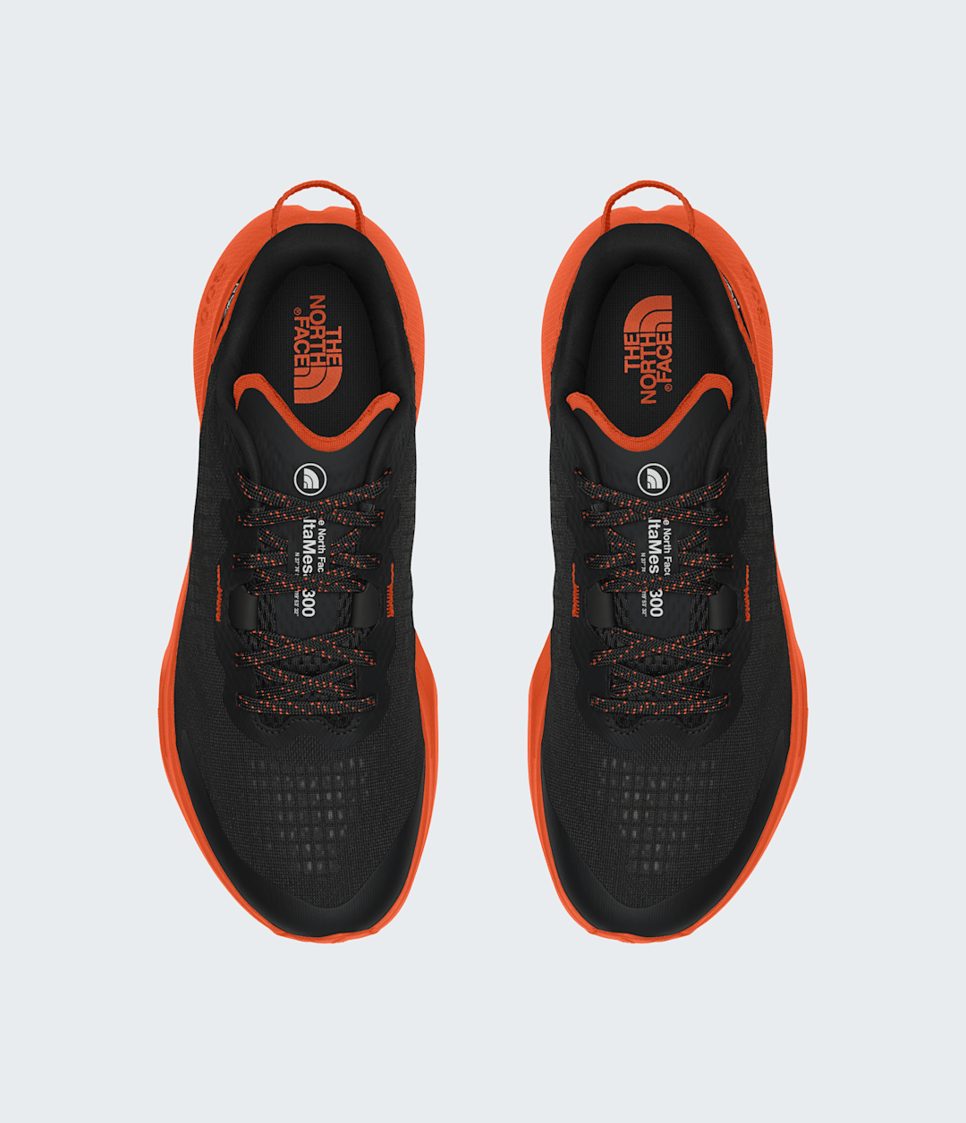 The North Face Men’s Altamesa 300 Shoes