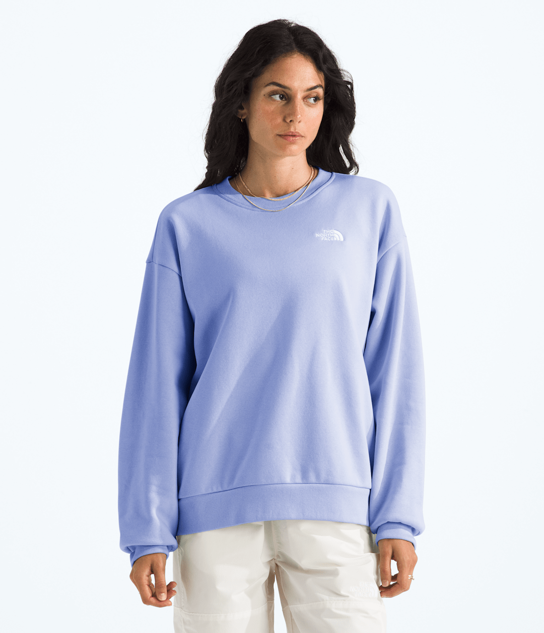 The North Face Women’s Evolution Simple Dome Oversized Crew