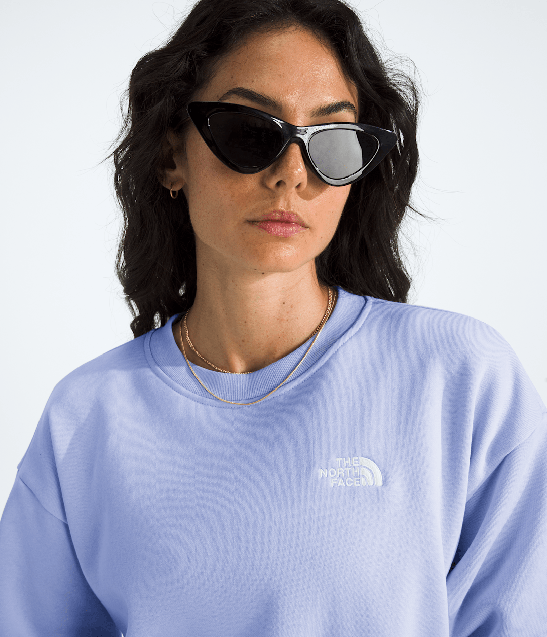 The North Face Women’s Evolution Simple Dome Oversized Crew