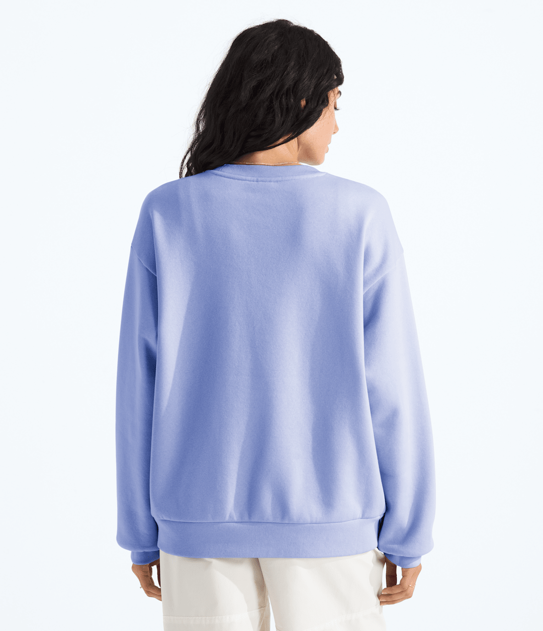 The North Face Women’s Evolution Simple Dome Oversized Crew