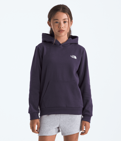 The North Face Boys’ & Girls’ Evolution Simple Dome Pullover Hoodie