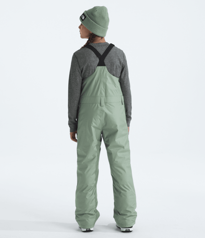 The North Face Boys’ & Girls’ Freedom Insulated Bibs
