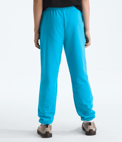 The North Face Boys’ & Girls’ Evolution Simple Dome Pants