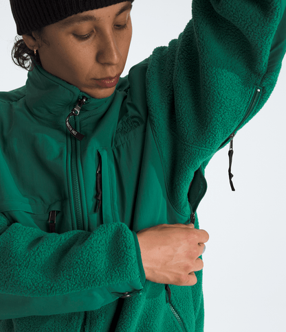 The North Face Men’s Retro Denali DTM Jacket