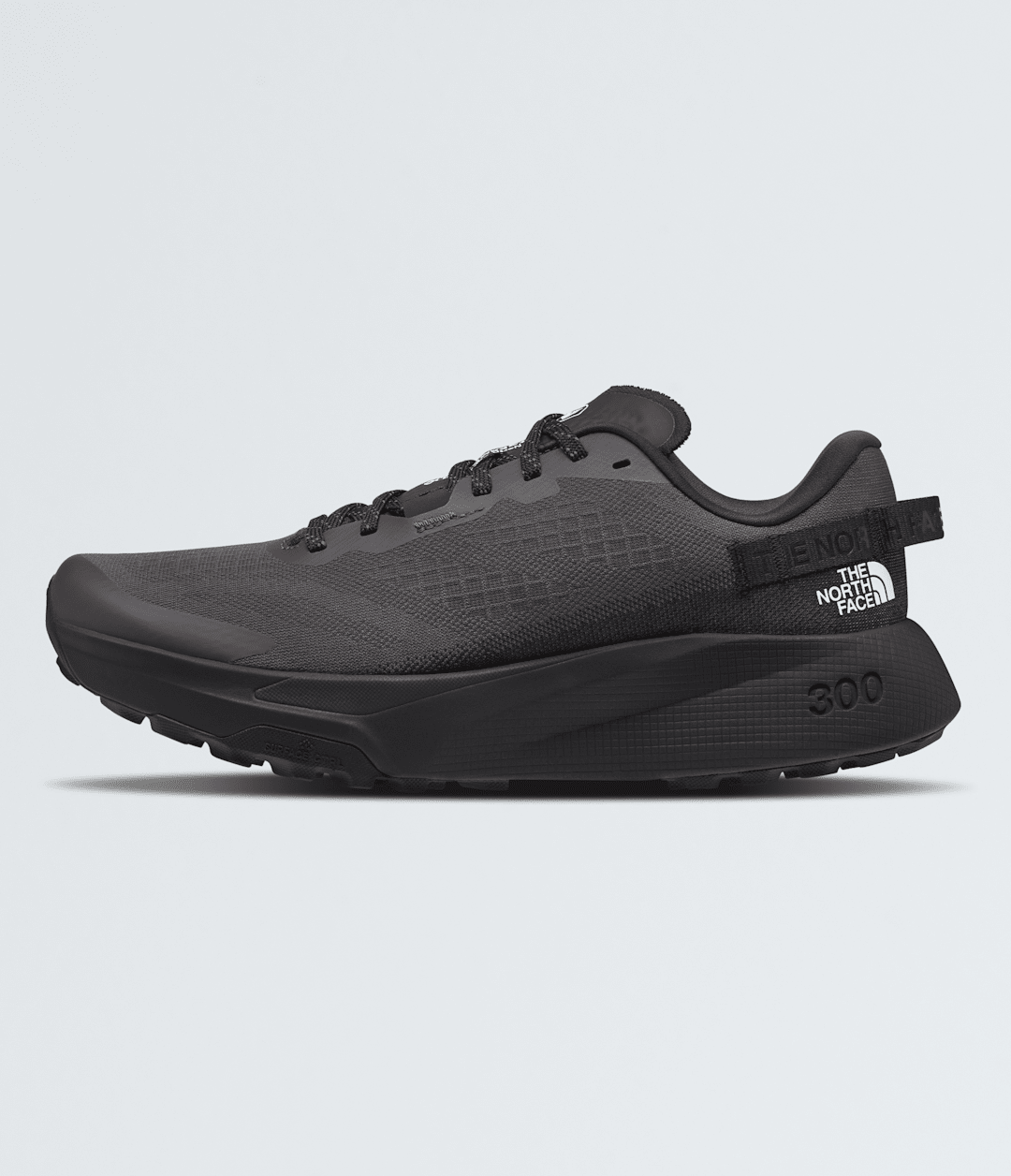The North Face Men’s Altamesa 300 Shoes