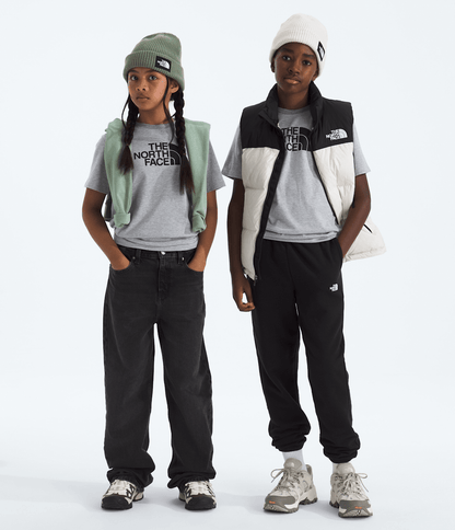 The North Face Boys’ & Girls’ Evolution Half Dome Short-Sleeve Tee
