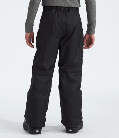 The North Face Boys’ Freedom Insulated Pants