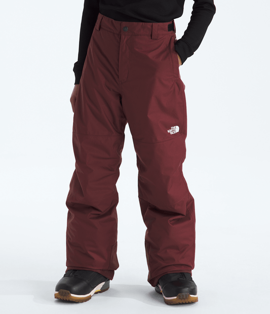 The North Face Boys’ Freedom Insulated Pants